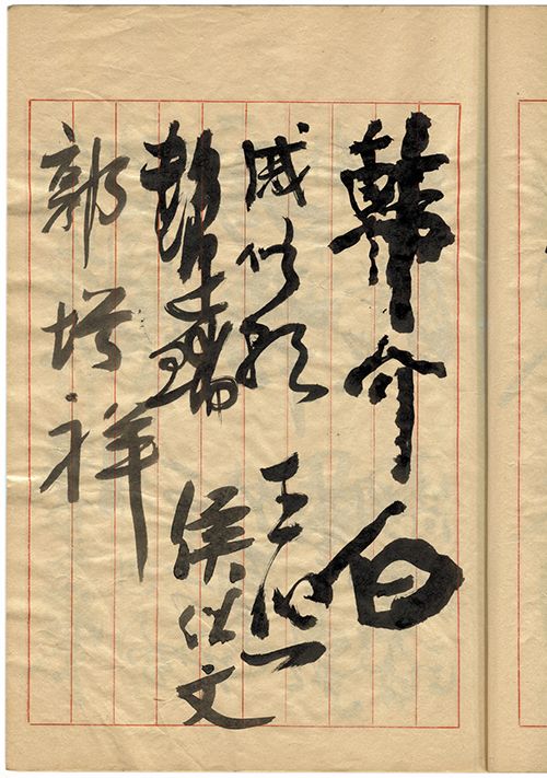 韓介白(國大代表) 郭妤祥
