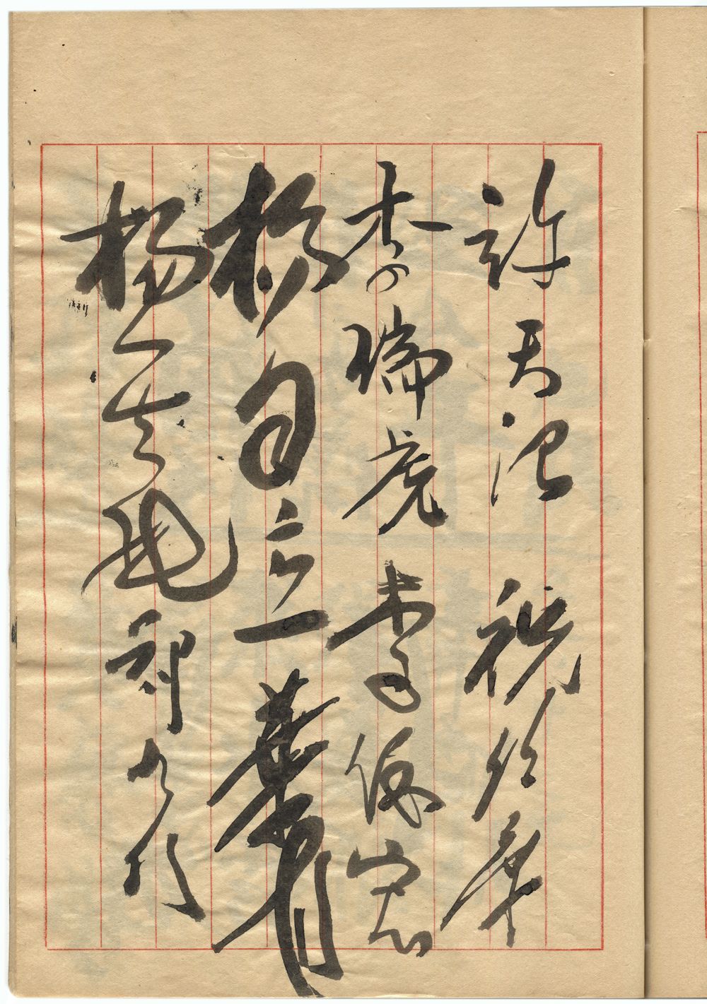 許天沼